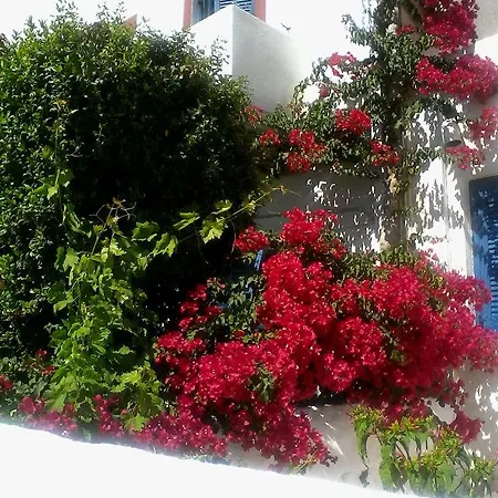 Rena Πανσιόν